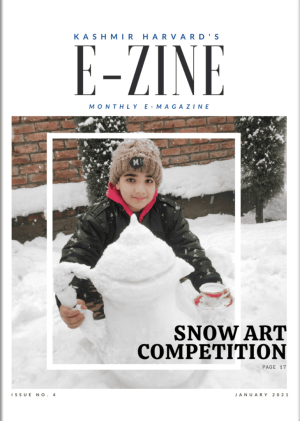 Snow Art Competition